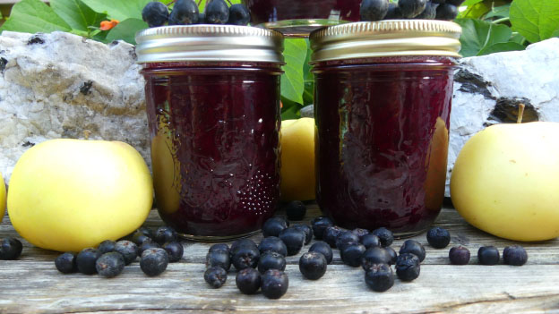 Wild Berry Sauce