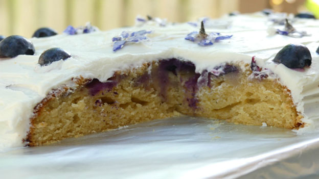 Wild Blueberry Cake