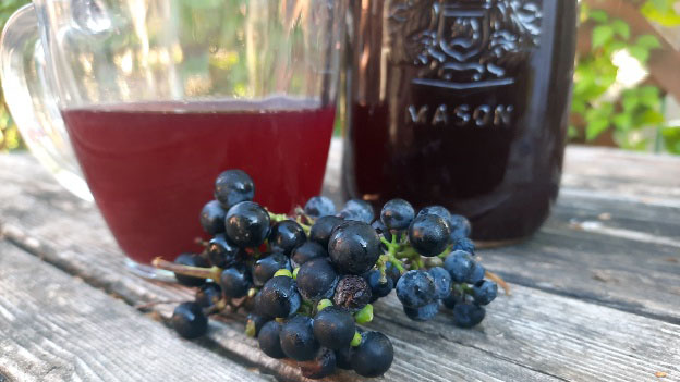 Wild Grape Shrub