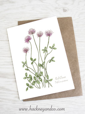 Red Clover artcard