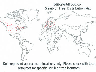 saskatoon berry distribution map