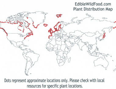 sea sandwort distribution map