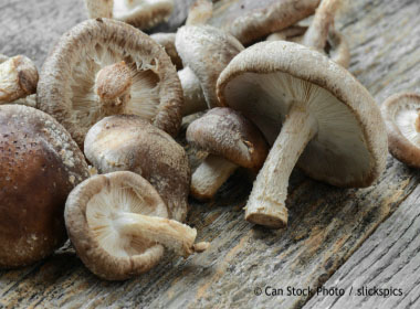 shitake gills