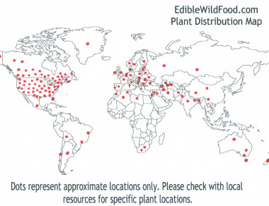 stinging nettle distribution map