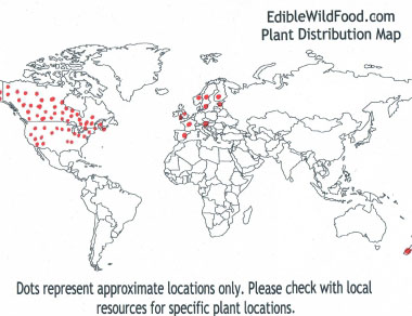 strawberry blite distribution map