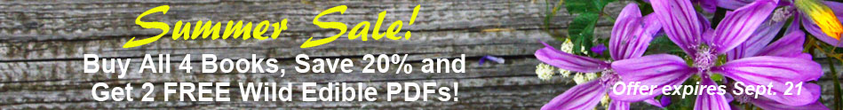 Summer Book Sale