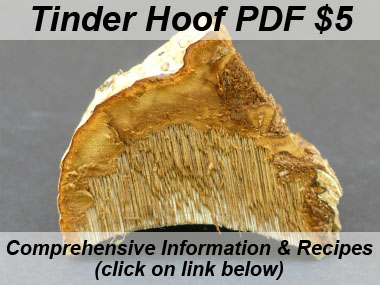 tinder hoof inside