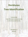 Deciduous Tree Identification