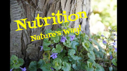 7 Common Wild Edible Plants