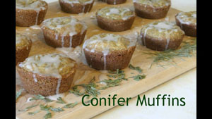 Conifer Muffins