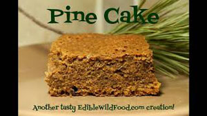 How to Make Pine Cake
