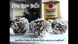 How to Make Pine Rum Balls