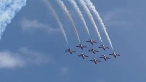 Wild Edible Plants at the Toronto Airshow