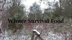 Winter Survival Food