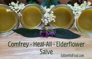 Comfrey, Heal-All and Elderflower Salve