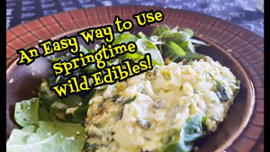 Easy Way to Use Spring Wild Edibles
