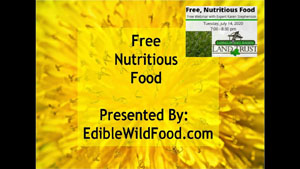 Edible Wild Plants Are Free, Nutritious Food