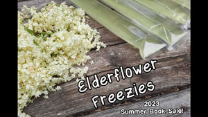 Elderflower Freezies