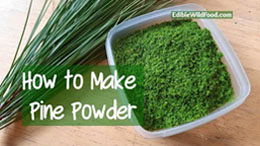 How to Make Pine Needle Powder