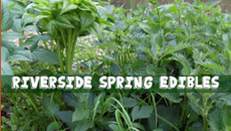 Riverside Spring Edibles