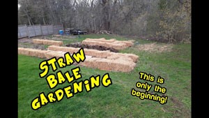 Straw Bale Gardening