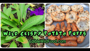 Wild Crispy Potato Puffs
