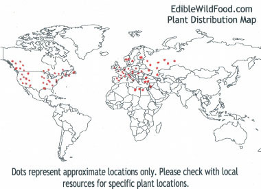 common violet distribution map